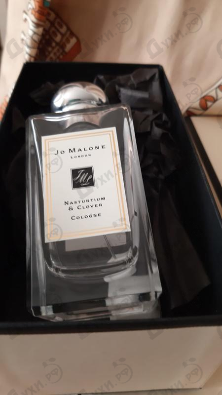 Отзывы Jo Malone Nasturtium & Clover