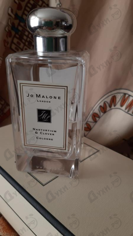 Отзывы Jo Malone Nasturtium & Clover Купить Nasturtium & Clover от Jo Malone