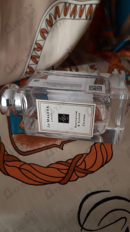 Купить Nasturtium & Clover от Jo Malone Купить Jo Malone Nasturtium & Clover