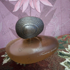 Отзывы Majda Bekkali Fusion Sacree Clair