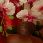 Парфюм Majda Bekkali Fusion Sacree Clair