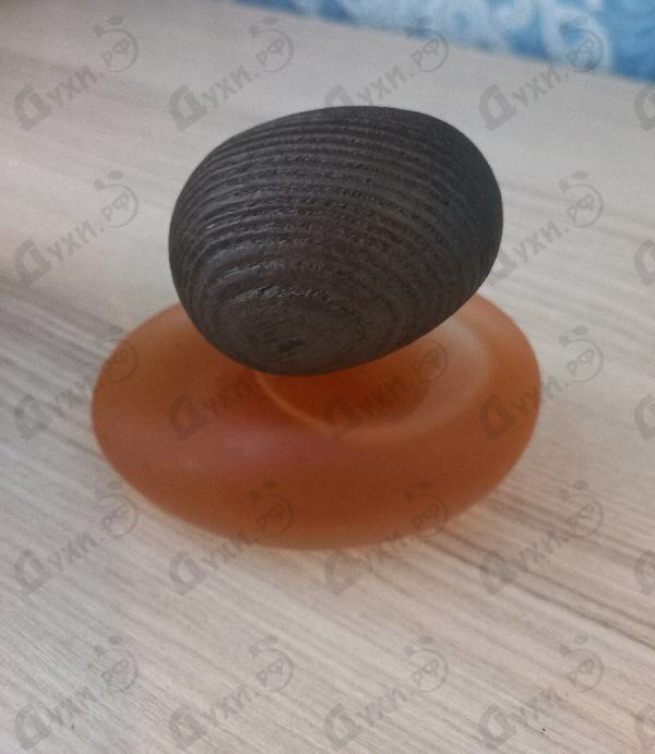 Парфюмерия Fusion Sacree Clair от Majda Bekkali