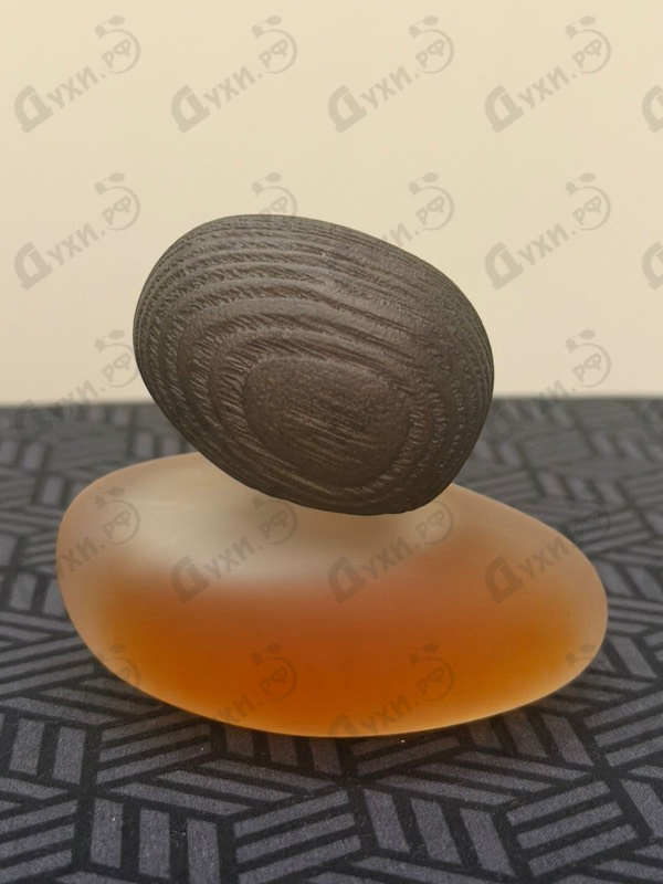 Купить Fusion Sacree Clair от Majda Bekkali