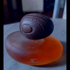 Духи Fusion Sacree Clair от Majda Bekkali