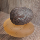 Отзывы Majda Bekkali Fusion Sacree Clair