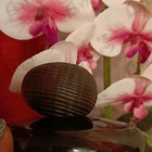 Парфюм Majda Bekkali Fusion Sacree Obscur