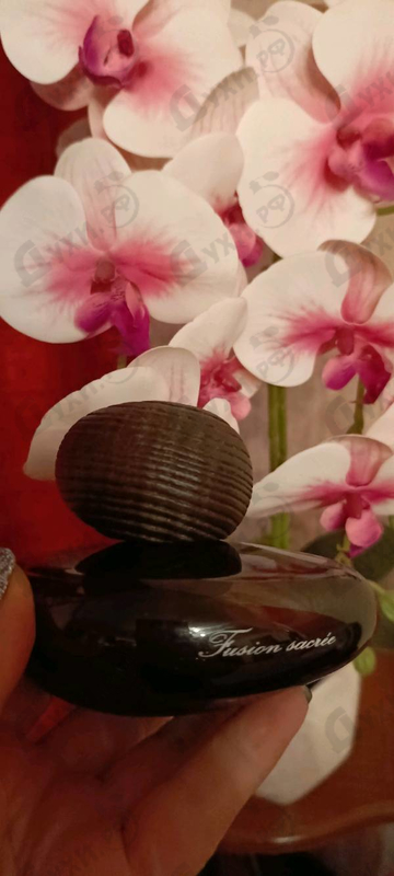 Купить Majda Bekkali Fusion Sacree Obscur