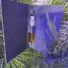 Духи Mon Nom Est Rouge от Majda Bekkali