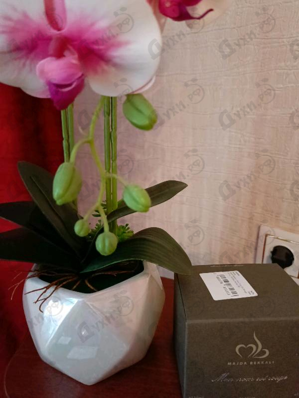 Купить Majda Bekkali Mon Nom Est Rouge