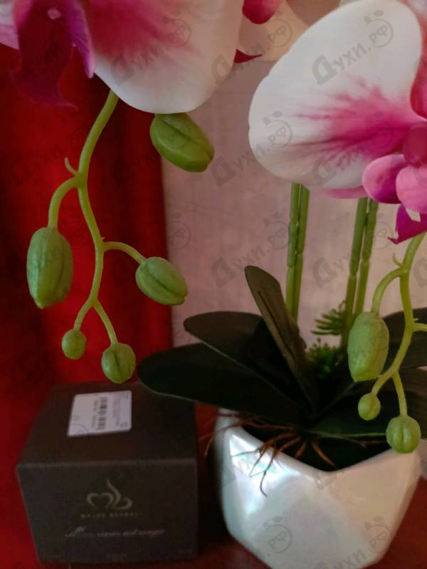 Парфюмерия Majda Bekkali Mon Nom Est Rouge