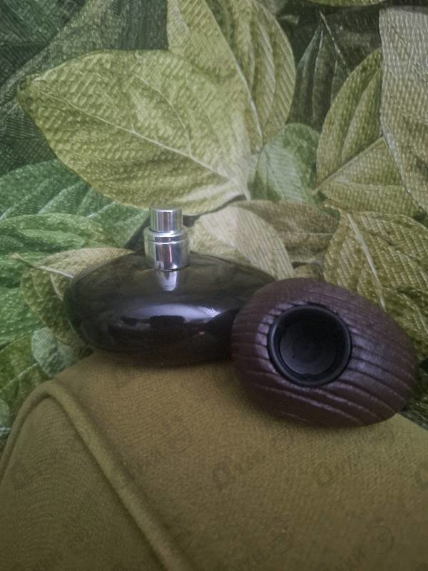 Купить Majda Bekkali Mon Nom Est Rouge