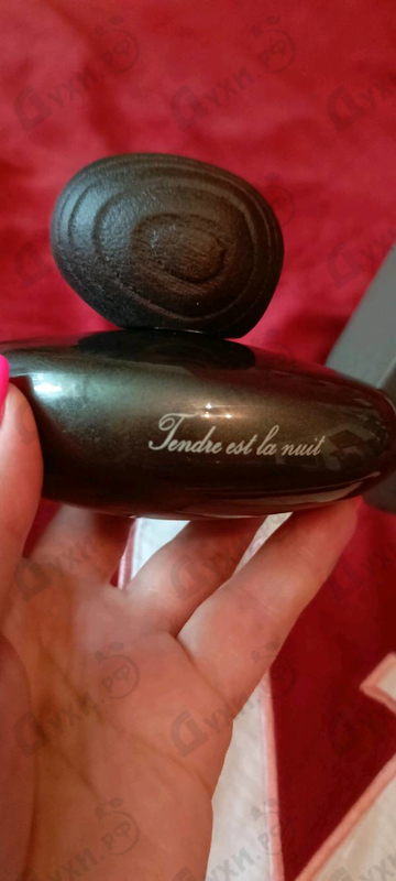 Купить Tendre Est La Nuit от Majda Bekkali