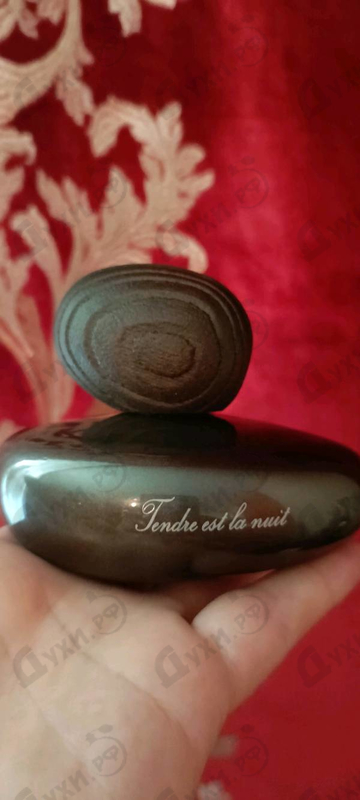 Парфюмерия Majda Bekkali Tendre Est La Nuit