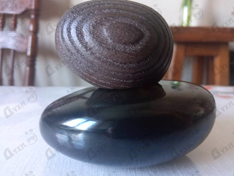 Парфюмерия Majda Bekkali Tendre Est La Nuit