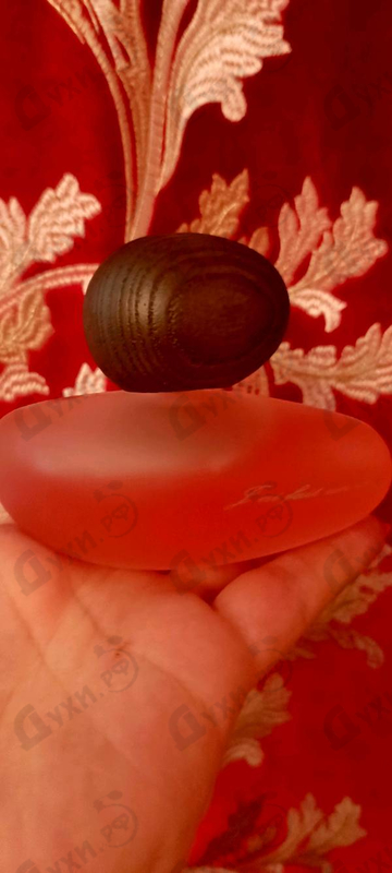 Купить Majda Bekkali J'ai Fait Un Reve