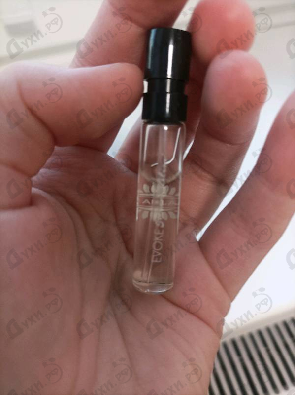 Парфюмерия Ajmal Evoke Silver