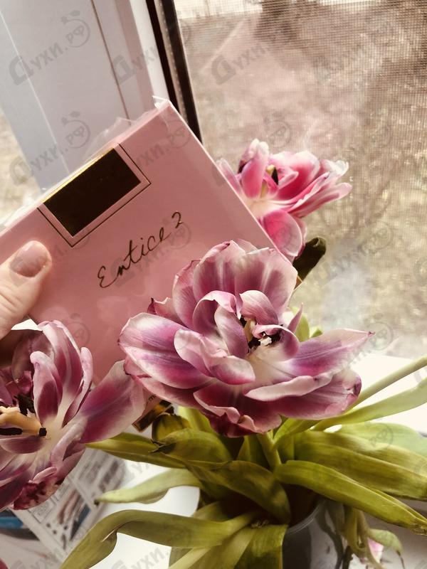 Отзывы Ajmal Entice 2 Купить Entice 2 от Ajmal