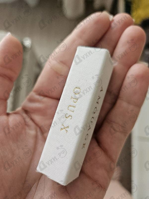 Купить The Library Collection Opus X от Amouage