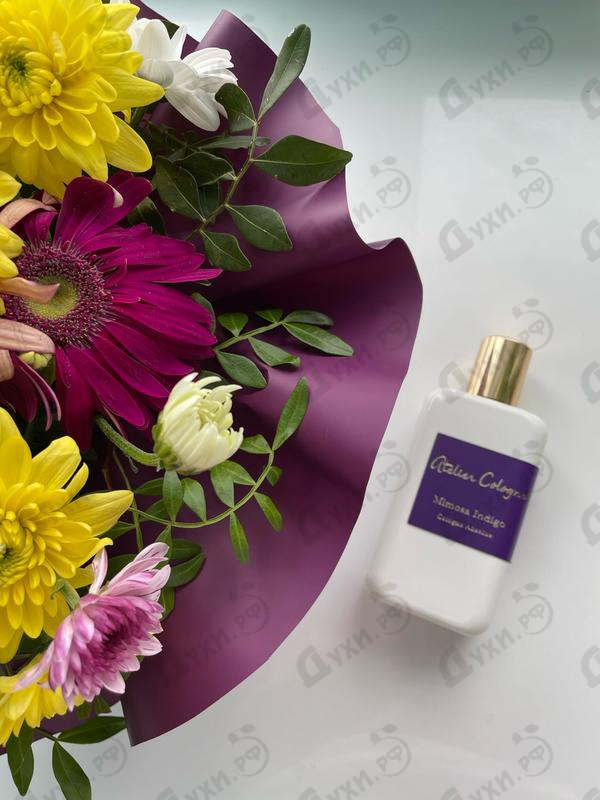 Отзыв Atelier Cologne Mimosa Indigo Духи Mimosa Indigo от Atelier Cologne