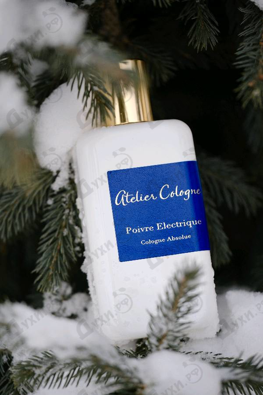 Духи Poivre Electrique от Atelier Cologne