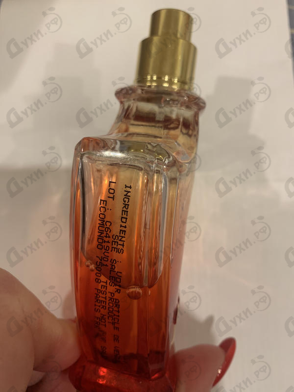 Купить Royal Princess Oud от Creed