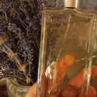 Духи Elixir Charnel Floral Romantique от Guerlain