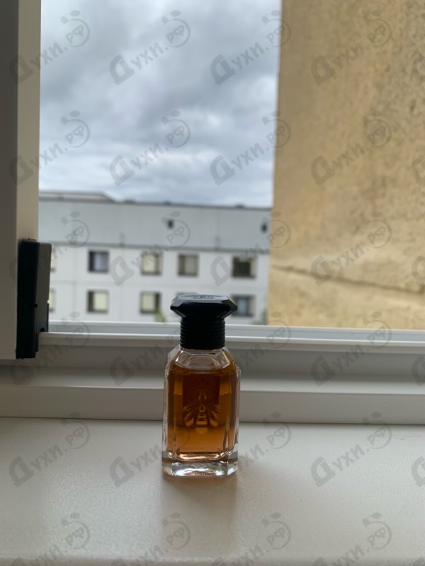 Парфюмерия Angelique Noire от Guerlain