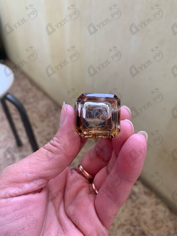 Отзыв Guerlain Angelique Noire