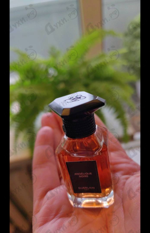 Духи Angelique Noire от Guerlain