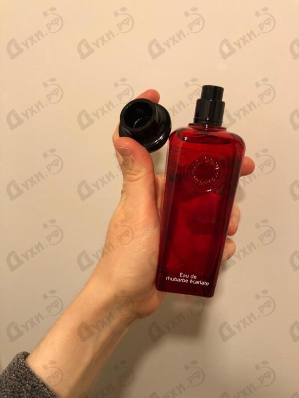 Купить Eau De Rhubarbe Ecarlate от Hermes Парфюмерия Hermes Eau De Rhubarbe Ecarlate