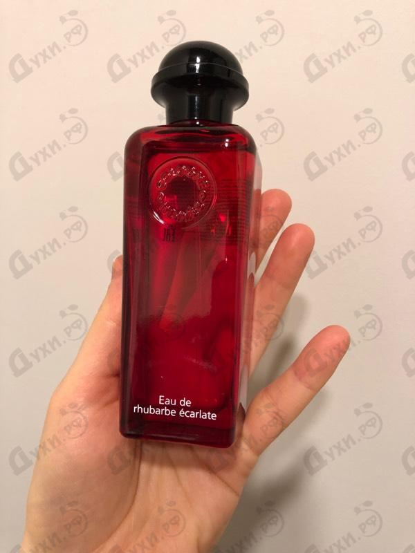 Парфюмерия Eau De Rhubarbe Ecarlate от Hermes Купить Hermes Eau De Rhubarbe Ecarlate