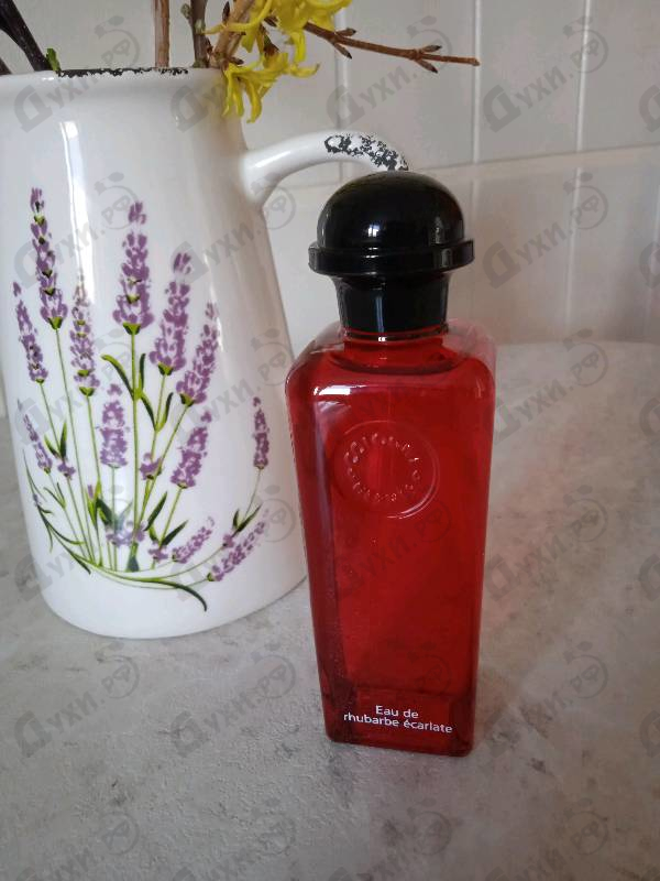 Отзыв Hermes Eau De Rhubarbe Ecarlate