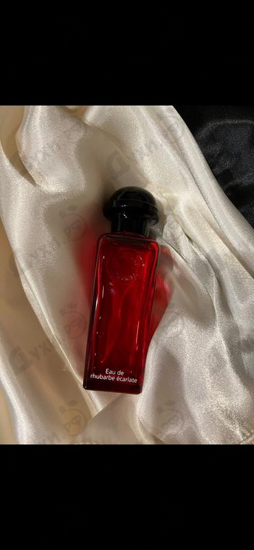 Купить Eau De Rhubarbe Ecarlate от Hermes