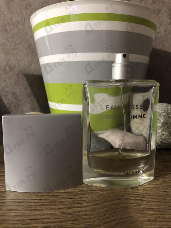 Купить L'eau D'issey Fraiche от Issey Miyake