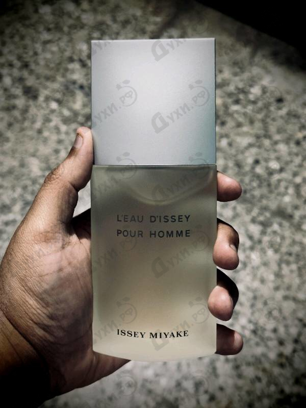 Купить L'eau D'issey Fraiche от Issey Miyake