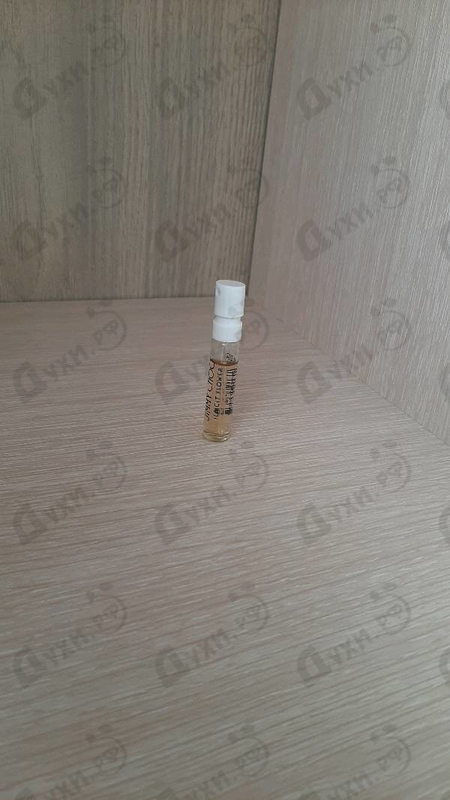 Парфюмерия Illicit Flower от Jimmy Choo