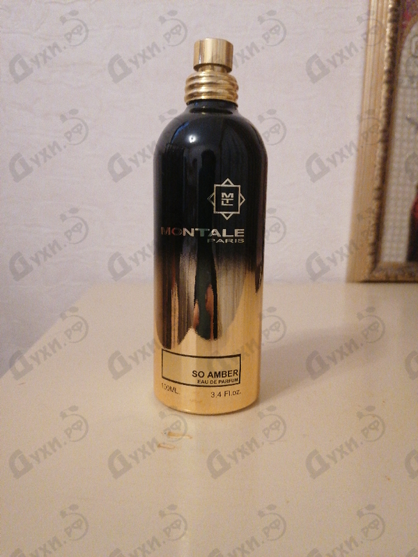 Купить So Amber от Montale