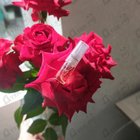 Духи Sweet Vanilla от Montale