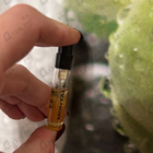 Отзыв Montale Oudmazing