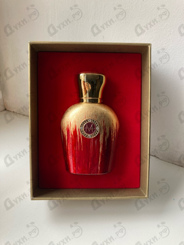 Купить Moresque Contessa