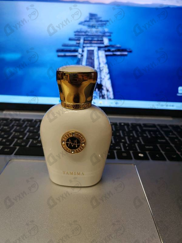 Купить Tamima от Moresque