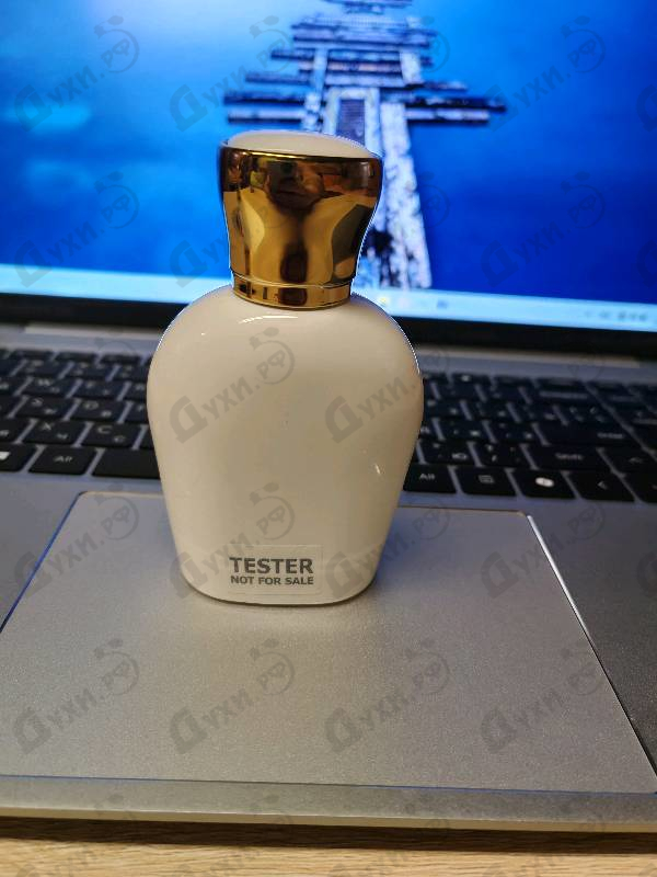 Купить Moresque Tamima