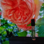 Парфюм Kilian Moonlight In Heaven