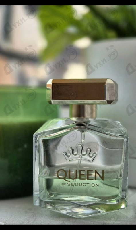 Купить Queen Of Seduction от Antonio Banderas