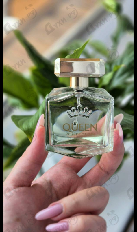 Отзывы Antonio Banderas Queen Of Seduction