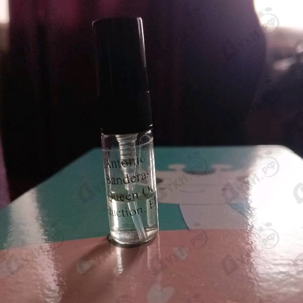 Купить Queen Of Seduction от Antonio Banderas