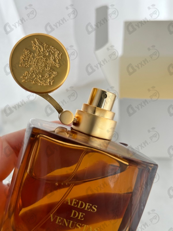 Купить Cierge De Lune от Aedes de Venustas