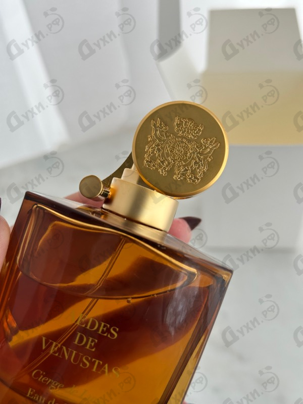 Купить Aedes de Venustas Cierge De Lune