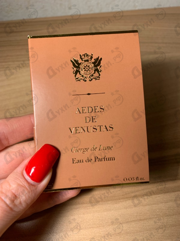 Купить Cierge De Lune от Aedes de Venustas