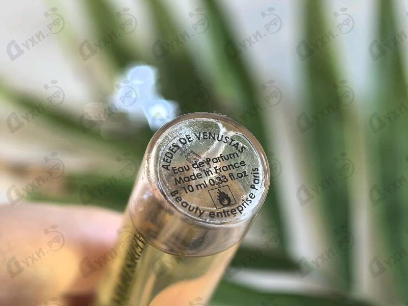 Купить Copal Azur от Aedes de Venustas